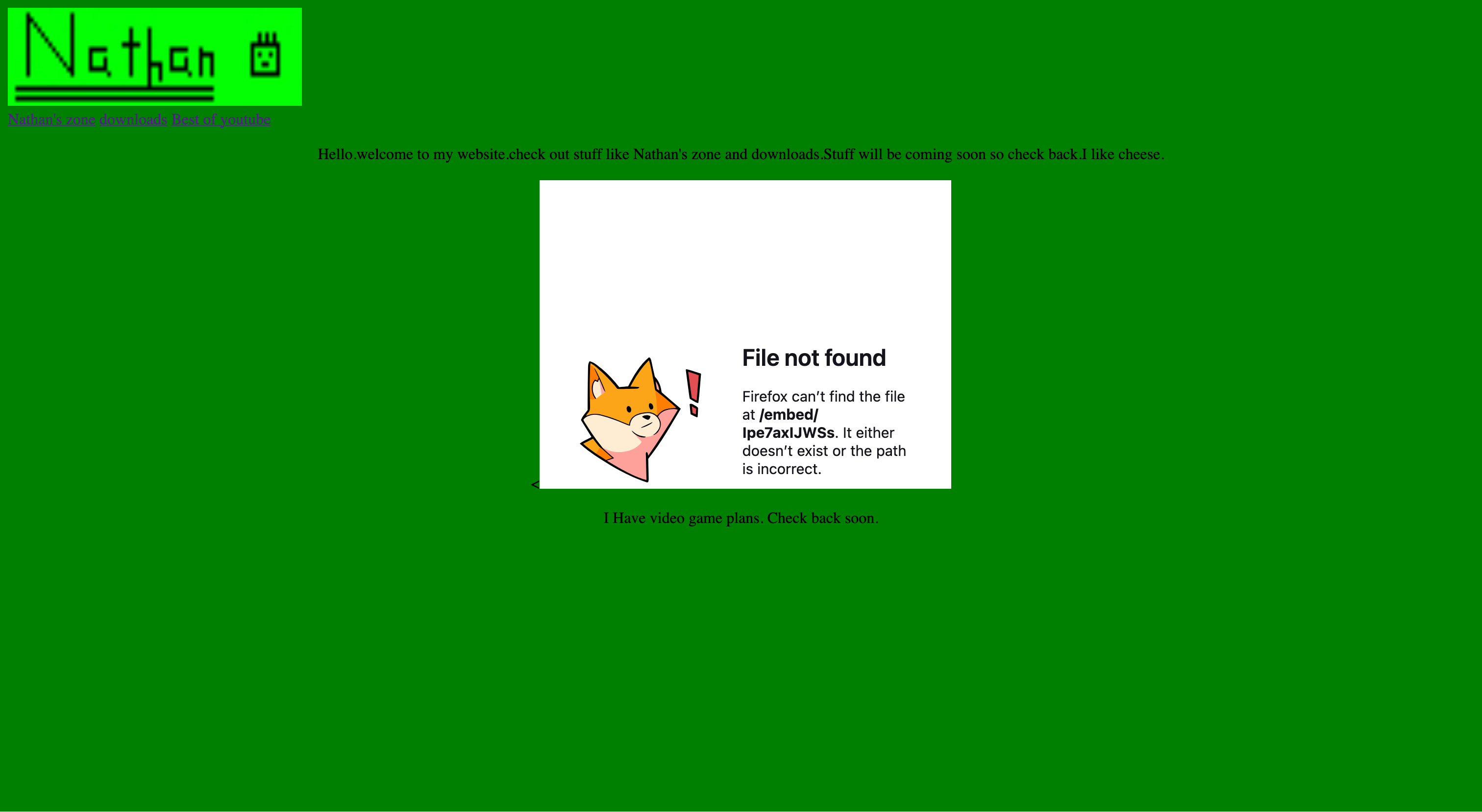A picture of my first website!